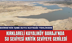 Kırklareli Kayalıköy Barajı'nda su seviyesi kritik seviyeye geriledi