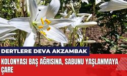 Kolonyası baş ağrısına sabunu yaşlanmaya çare!