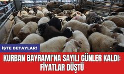 Kurban Bayramı'na sayılı günler kaldı: Fiyatlar düştü