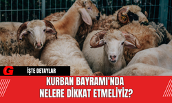 Kurban Bayramı'nda Nelere Dikkat Etmeliyiz?