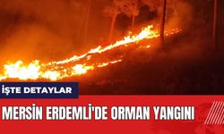 Mersin Erdemli'de orman yangını