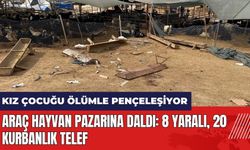 Mersin'de araç hayvan pazarına daldı! 8 yaralı, 20 kurbanlık telef