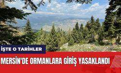 Mersin'de ormanlara giriş yasaklandı