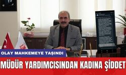 Aile Müdür Yardımcısı'ndan Kadına Şiddet! Olay Mahkemeye Taşındı