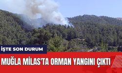 Muğla Milas'ta orman yangını çıktı