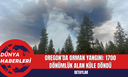 Oregon’da Orman Yangını: 1700 Dönümlük Alan Küle Döndü
