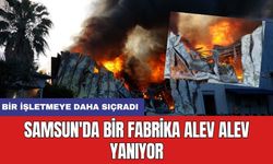 Samsun'da bir fabrika alev alev yanıyor