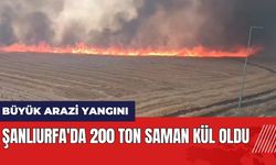 Şanlıurfa'da büyük arazi yangını! 200 ton saman kül oldu