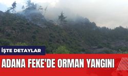 Adana Feke'de orman yangını