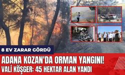 Adana Kozan'da orman yangını: 45 hektar alan yandı