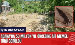 Adana'da 53 milyon yıl öncesine ait memeli türü görüldü