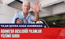 Adana'da beslediği yılanlar yüzünü ısırdı