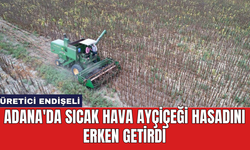 Adana'da sıcak hava ayçiçeği hasadını erken getirdi