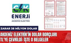 Akdeniz Elektrik'in dolar borçları TL'ye çevrildi: Zarar 38 milyon dolar