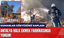 Antalya Halk Ekmek fabrikasında yangın!