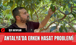 Antalya'da Erken Hasat Problemi