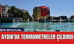 Aydın'da termometreler çıldırdı