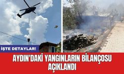 Aydın'daki yangınların bilançosu açıklandı