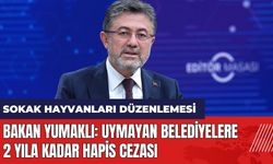 Sokak hayvanları düzenlemesi: Bakan Yumaklı: Uymayan belediyelere 2 yıla kadar hapis cezası