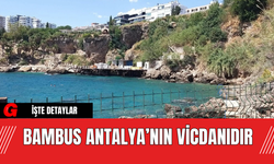 Bambus Antalya’nın vicdanıdır