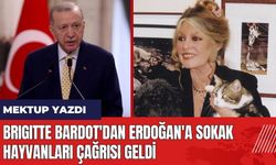 Brigitte Bardot'dan Erdoğan'a sokak hayvanları çağrısı geldi