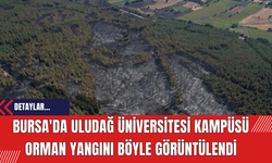 Bursa'da Uludağ Üniversitesi Kampüsü Orman Yangını Böyle Görüntülendi