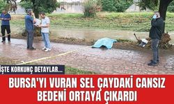 Bursa'yı vuran sel çaydaki cansız bedeni ortaya çıkardı