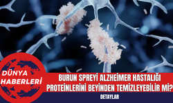 Burun Spreyi Alzheimer Hastalığı Proteinlerini Beyinden Temizleyebilir mi?