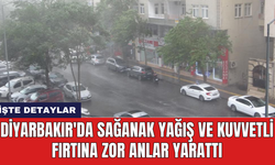 Diyarbakır'da sağanak yağış ve kuvvetli fırtına zor anlar yarattı