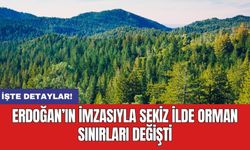 Erdoğan’ın imzasıyla sekiz ilde orman sınırları değişti