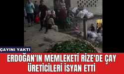 Erdoğan'ın memleketi Rize'de çay üreticileri isyan etti