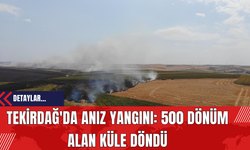 Tekirdağ'da Anız Yangını: 500 Dönüm Alan Küle Döndü