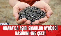 Adana’da Aşırı Sıcaklar Ayçiçeği Hasadını Öne Çekti