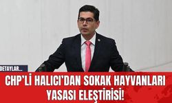 CHP’li Halıcı’dan Sokak Hayvanları Yasası Eleştirisi!