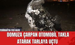 Tekirdağ'da Feci Kaza! Domuza Çarpan Otomobil Takla Atarak Tarlaya Uçtu