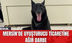 Mersin'de Uyuşturucu Ticaretine Ağır Darbe