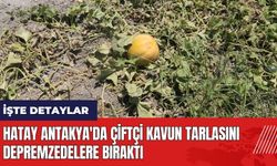 Hatay Antakya'da çiftçi kavun tarlasını depremzedelere bıraktı