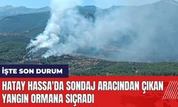 Hatay Hassa'da sondaj aracından çıkan yangın ormana sıçradı