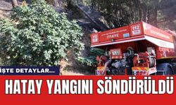 Hatay yangını söndürüldü