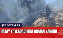 Hatay Yayladağı'nda orman yangını