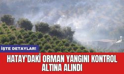 Hatay'daki orman yangını kontrol altına alındı