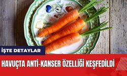 Havuçta anti-kanser özelliği keşfedildi