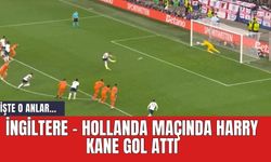 İngiltere - Hollanda maçında Harry Kane gol attı