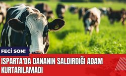 Isparta'da dananın saldırdığı adam kurtarılamadı