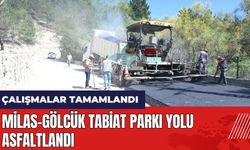 Isparta'da Milas-Gölcük Tabiat Parkı yolu asfaltlandı