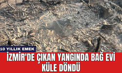İzmir'de çıkan yangında bağ evi küle döndü