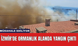 İzmir'de ormanlık alanda yangın çıktı: Müdahale ediliyor