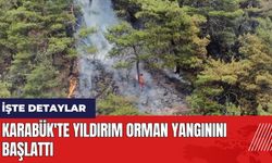 Karabük'te yıldırım orman yangınını başlattı