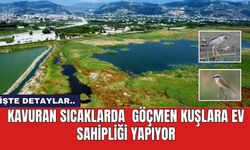 Kavuran sıcaklarda  göçmen kuşlara ev sahipliği yapıyor