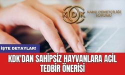 KDK'dan sahipsiz hayvanlara acil tedbir önerisi